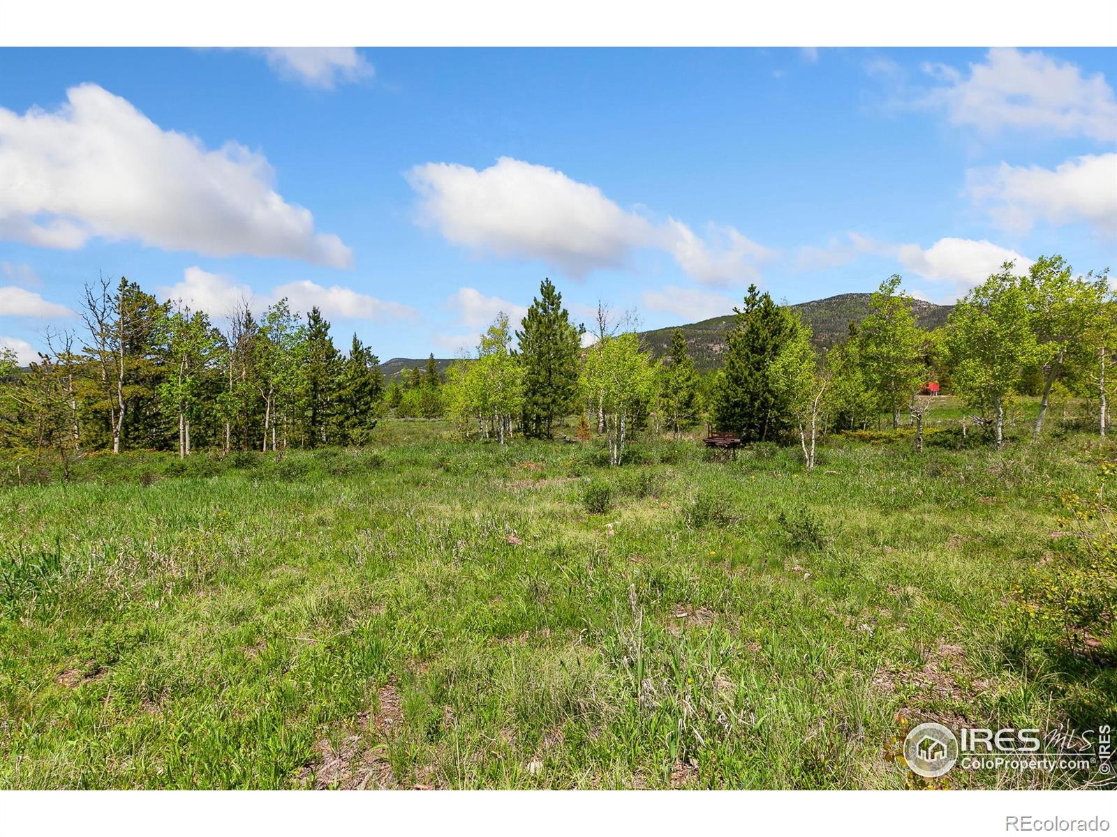 5481 N County Road 73c Red Feather Lakes CO 80545