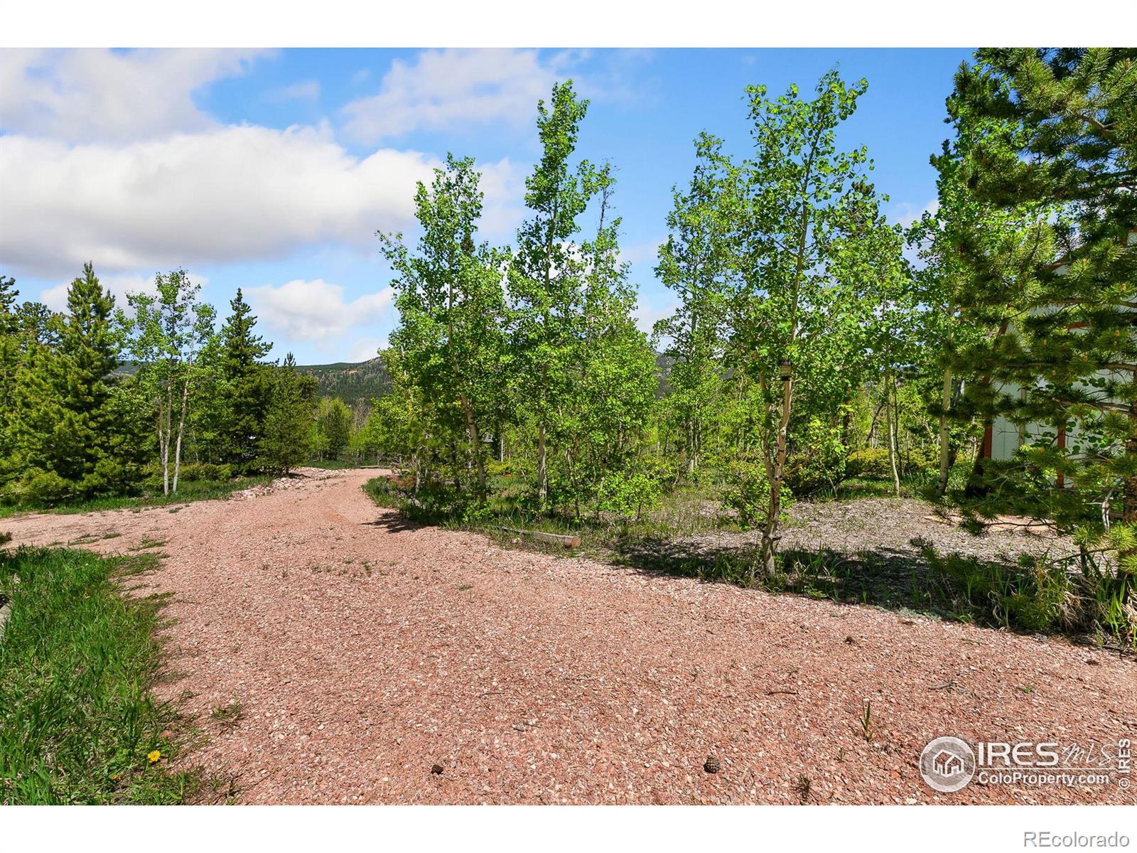 5481 N County Road 73c Red Feather Lakes CO 80545