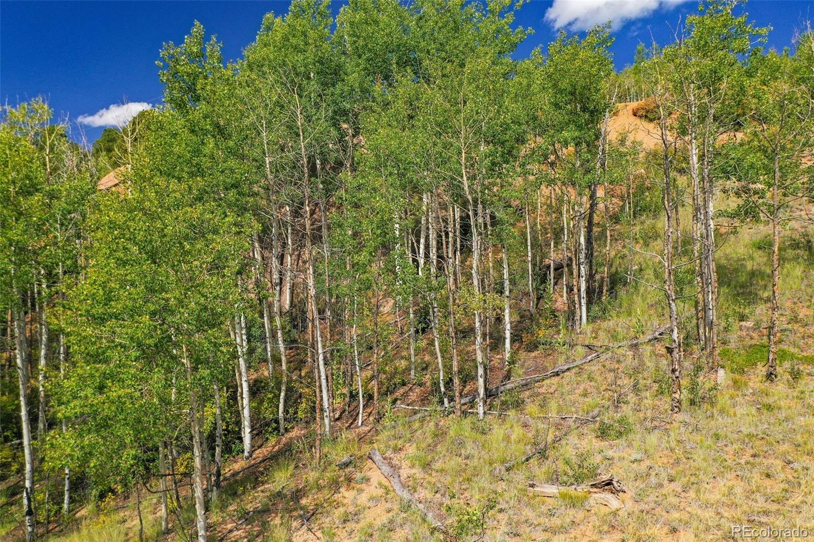 1300 Golden Cycle Circle Cripple Creek CO 80813