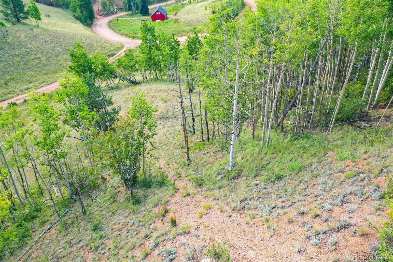 1300 Golden Cycle Circle Cripple Creek CO 80813