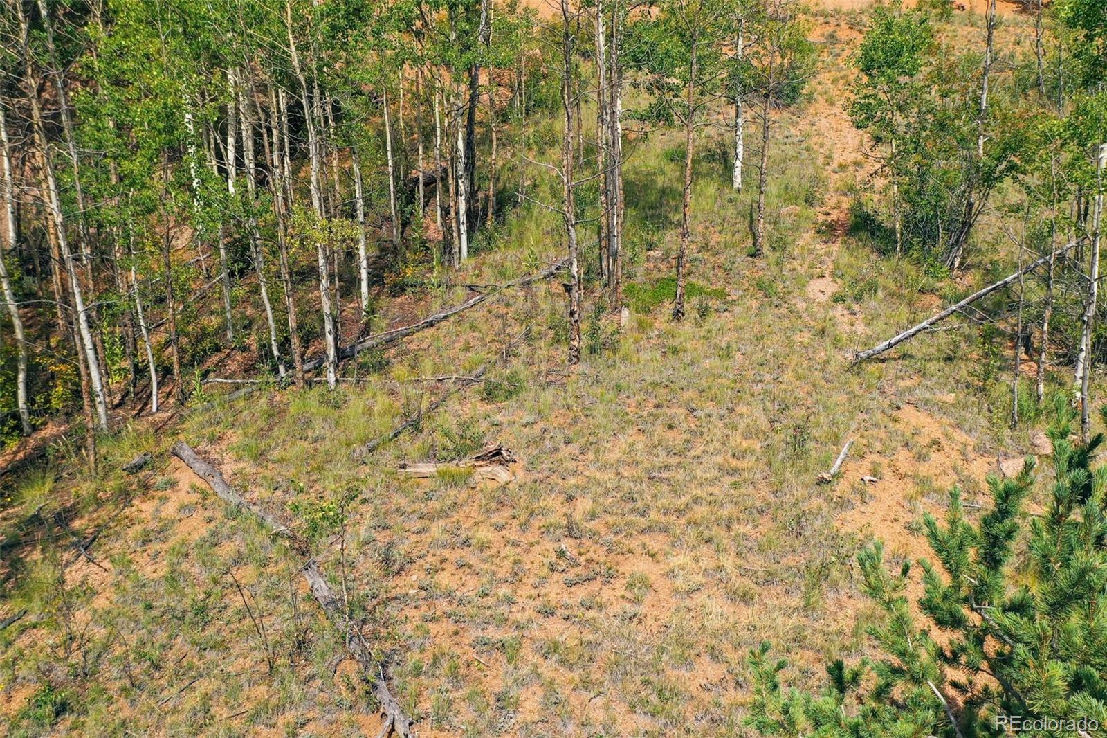 1300 Golden Cycle Circle Cripple Creek CO 80813