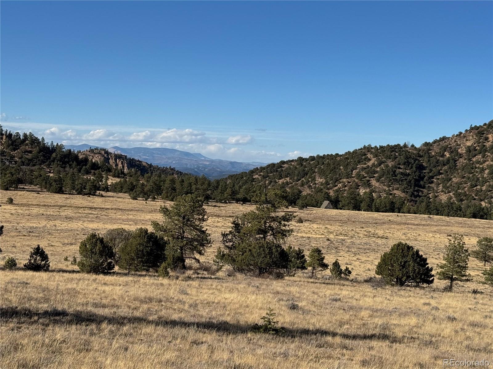 Lot 35 Stephens Drive Westcliffe CO 81252