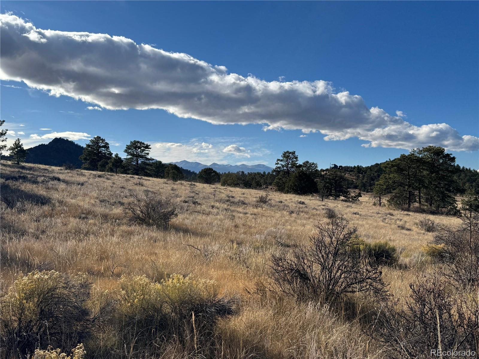 Lot 35 Stephens Drive Westcliffe CO 81252