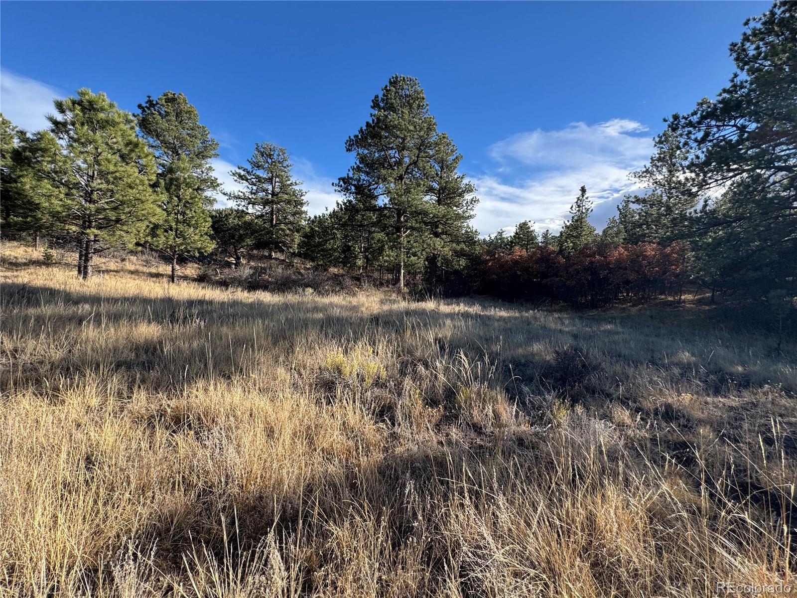 Lot 35 Stephens Drive Westcliffe CO 81252