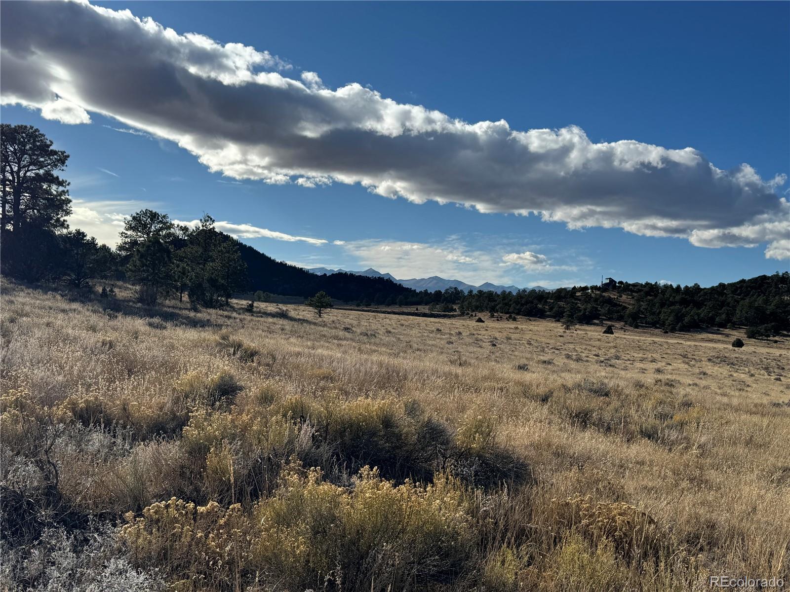 Lot 35 Stephens Drive Westcliffe CO 81252
