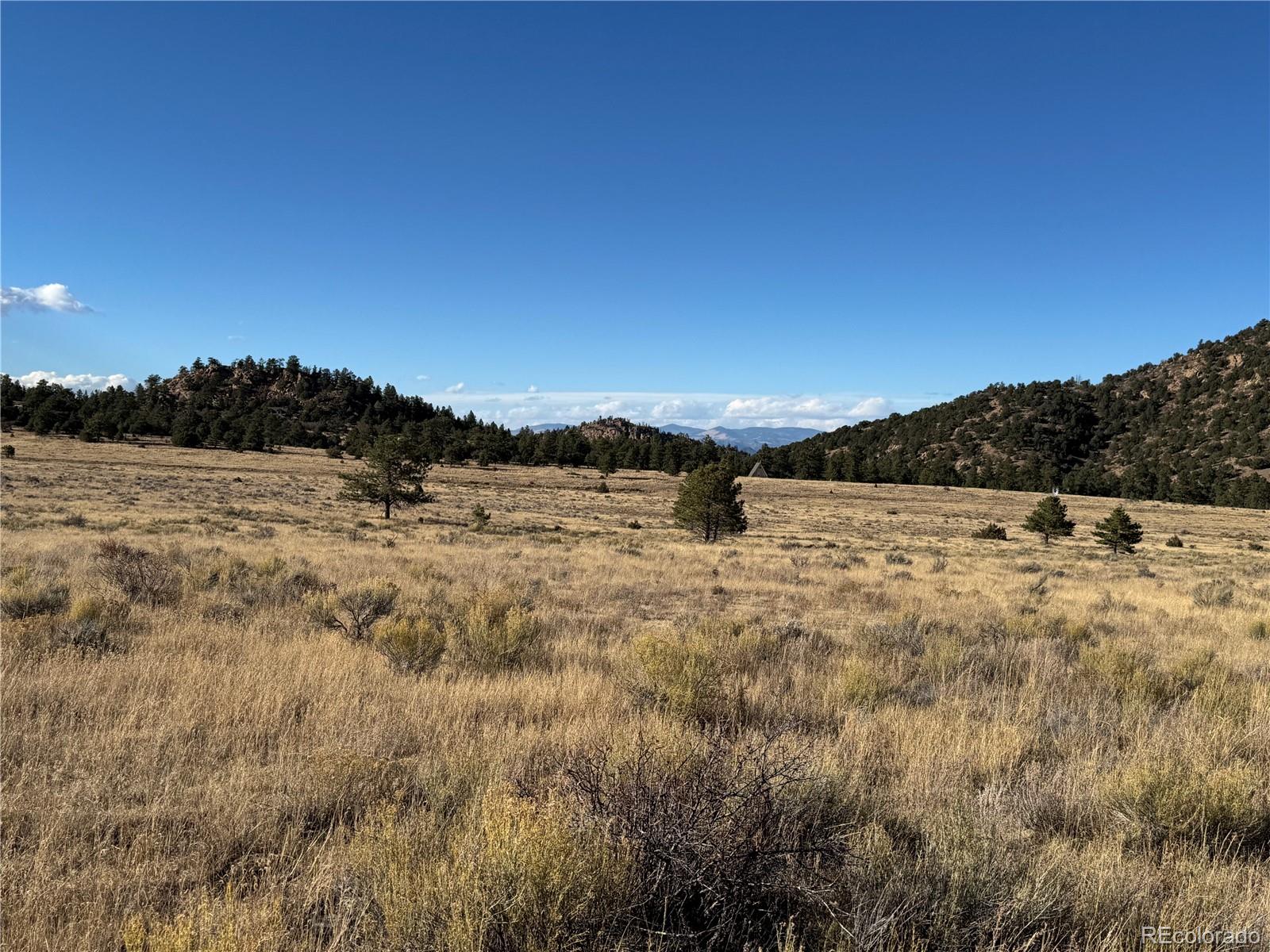 Lot 35 Stephens Drive Westcliffe CO 81252