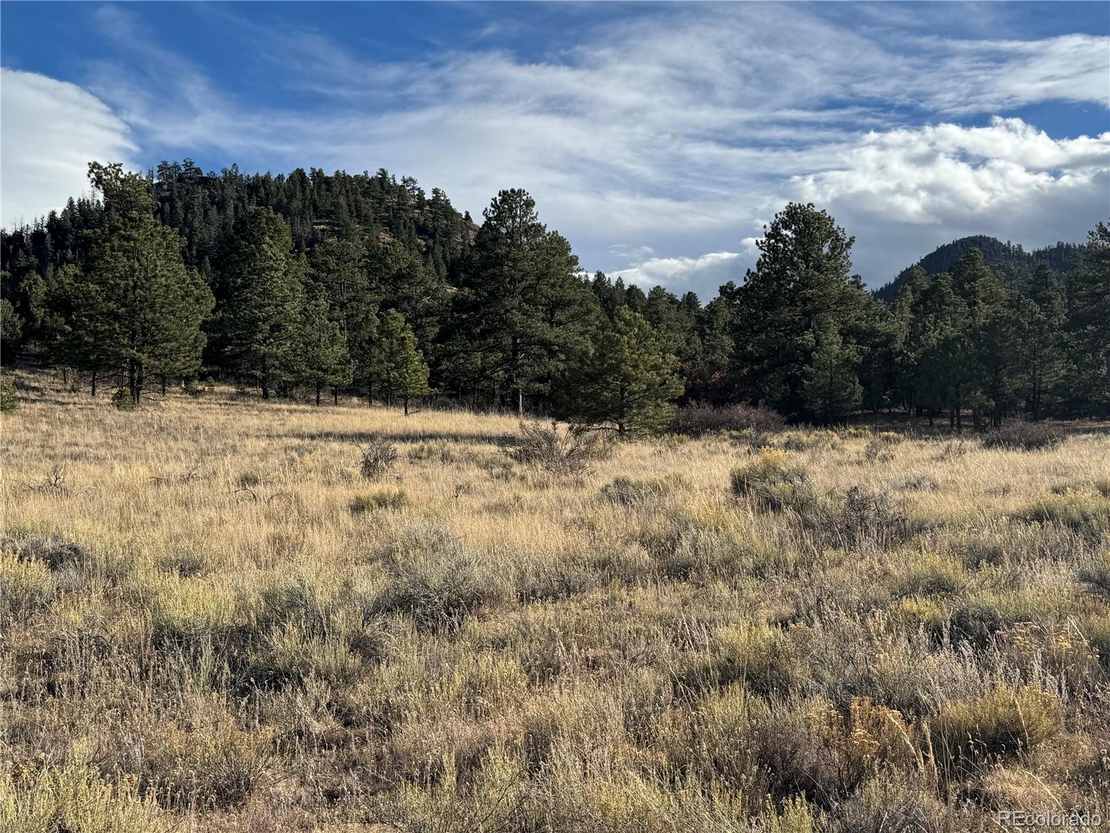 Lot 35 Stephens Drive Westcliffe CO 81252