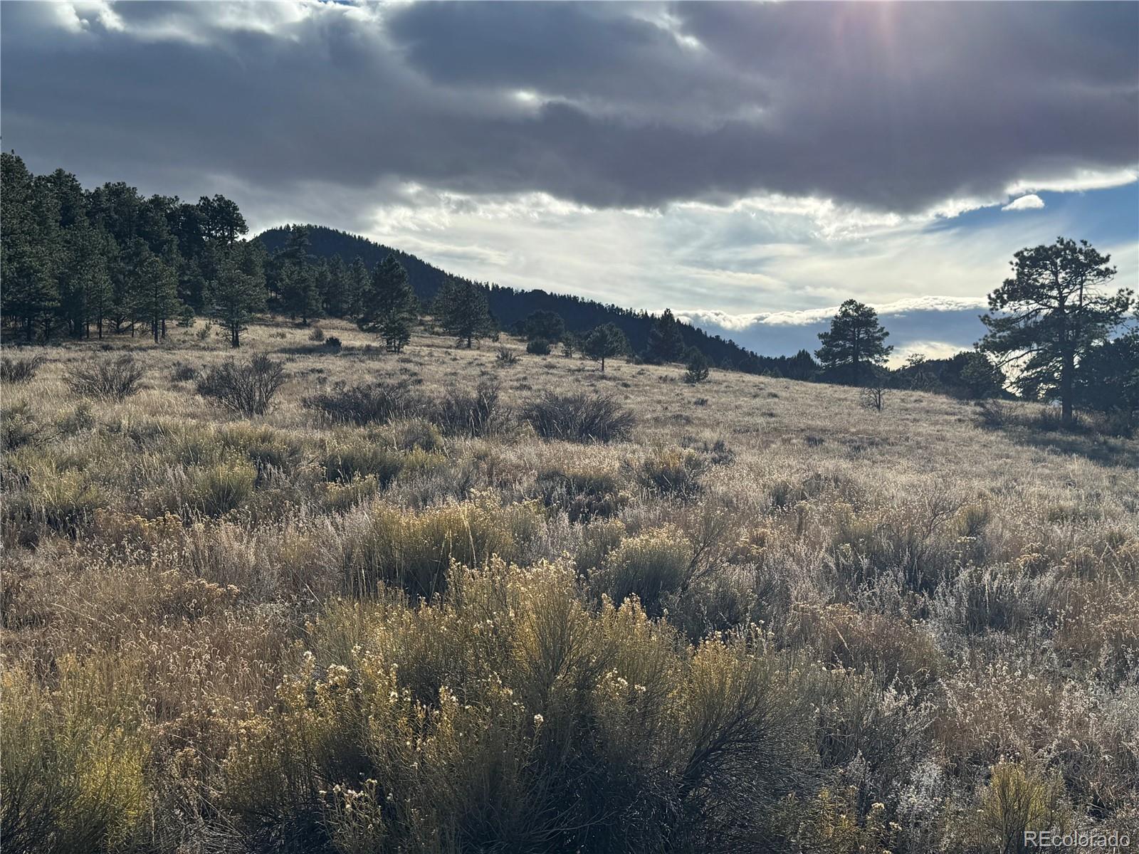 Lot 35 Stephens Drive Westcliffe CO 81252