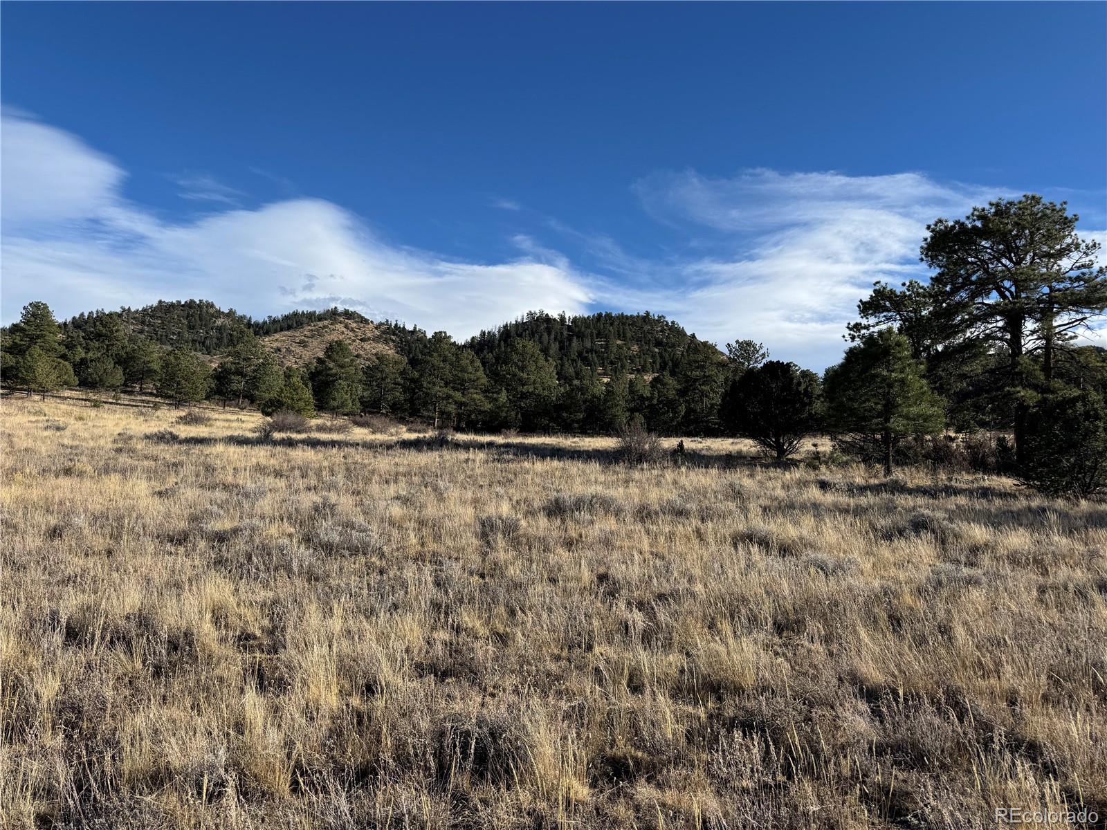 Lot 35 Stephens Drive Westcliffe CO 81252