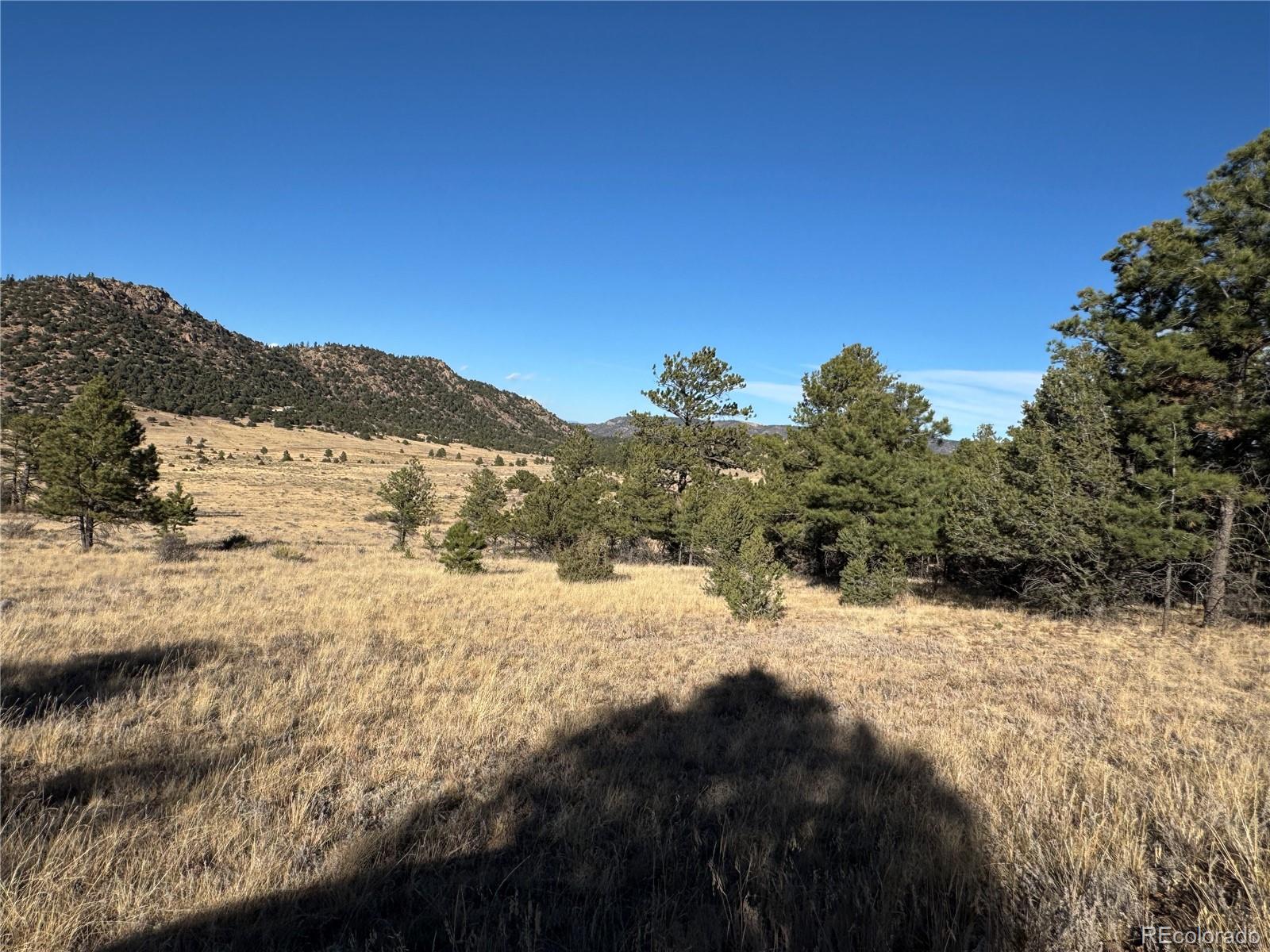 Lot 35 Stephens Drive Westcliffe CO 81252