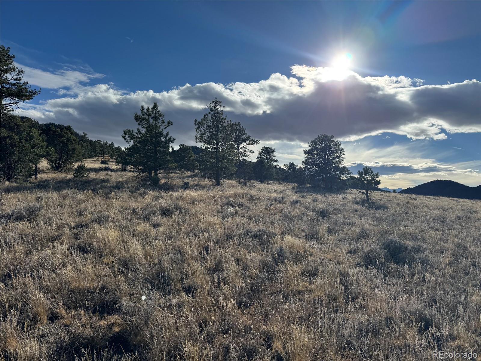 Lot 35 Stephens Drive Westcliffe CO 81252