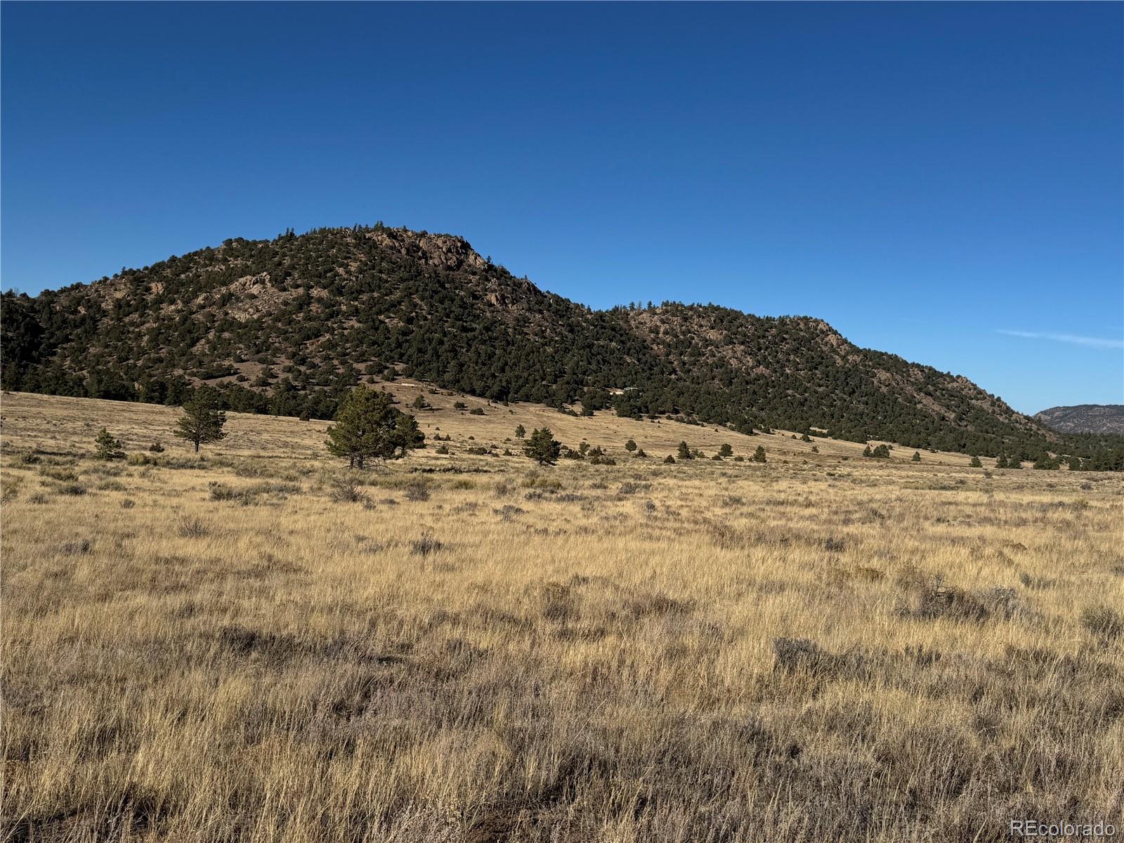 Lot 35 Stephens Drive Westcliffe CO 81252