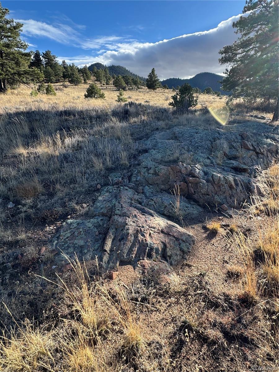 Lot 35 Stephens Drive Westcliffe CO 81252