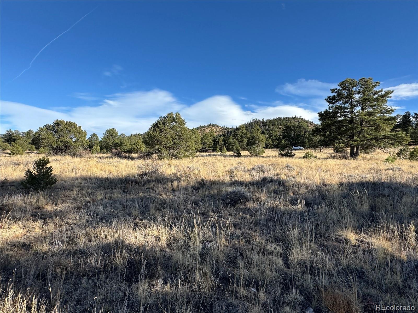 Lot 35 Stephens Drive Westcliffe CO 81252