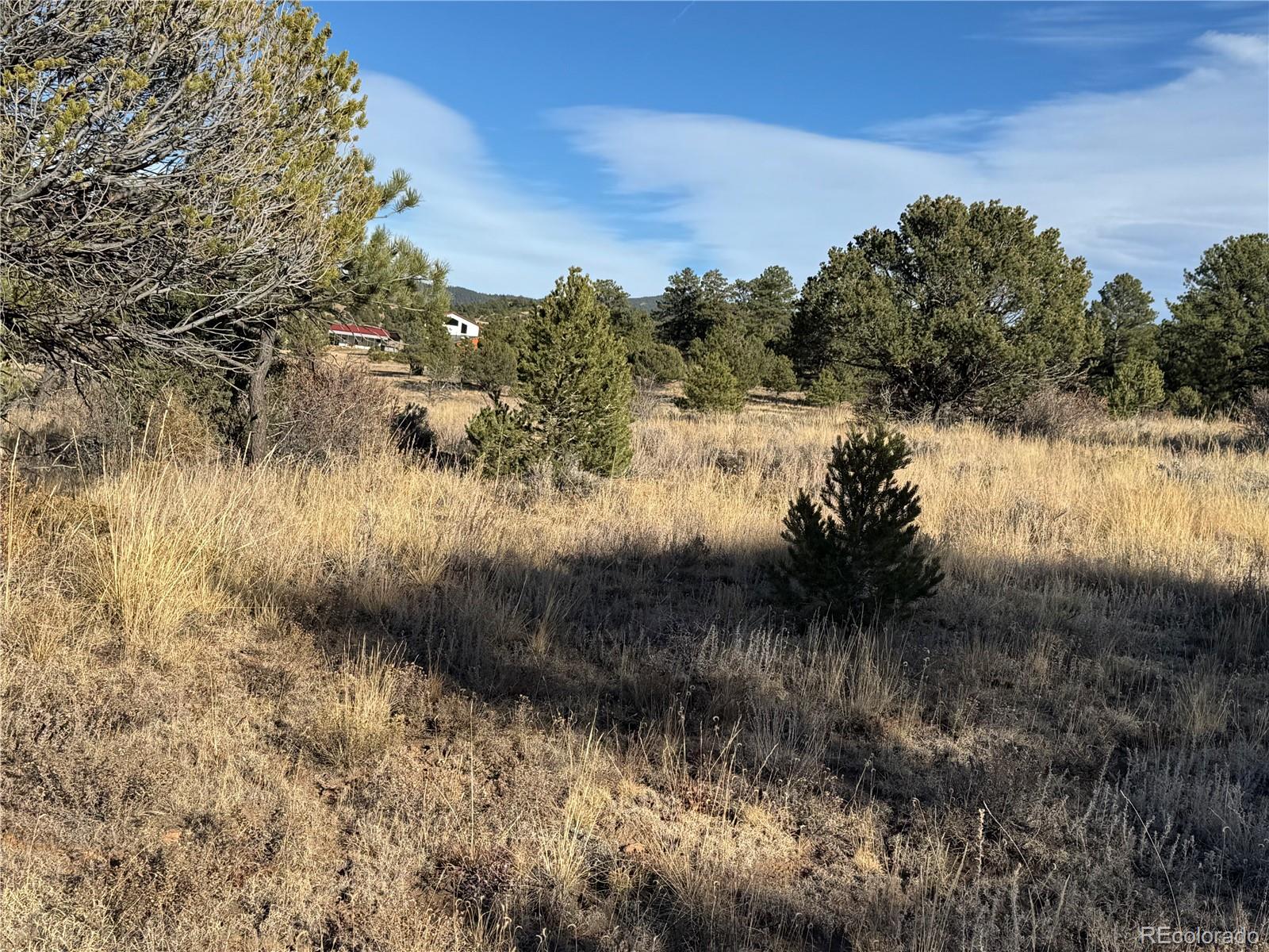 Lot 35 Stephens Drive Westcliffe CO 81252