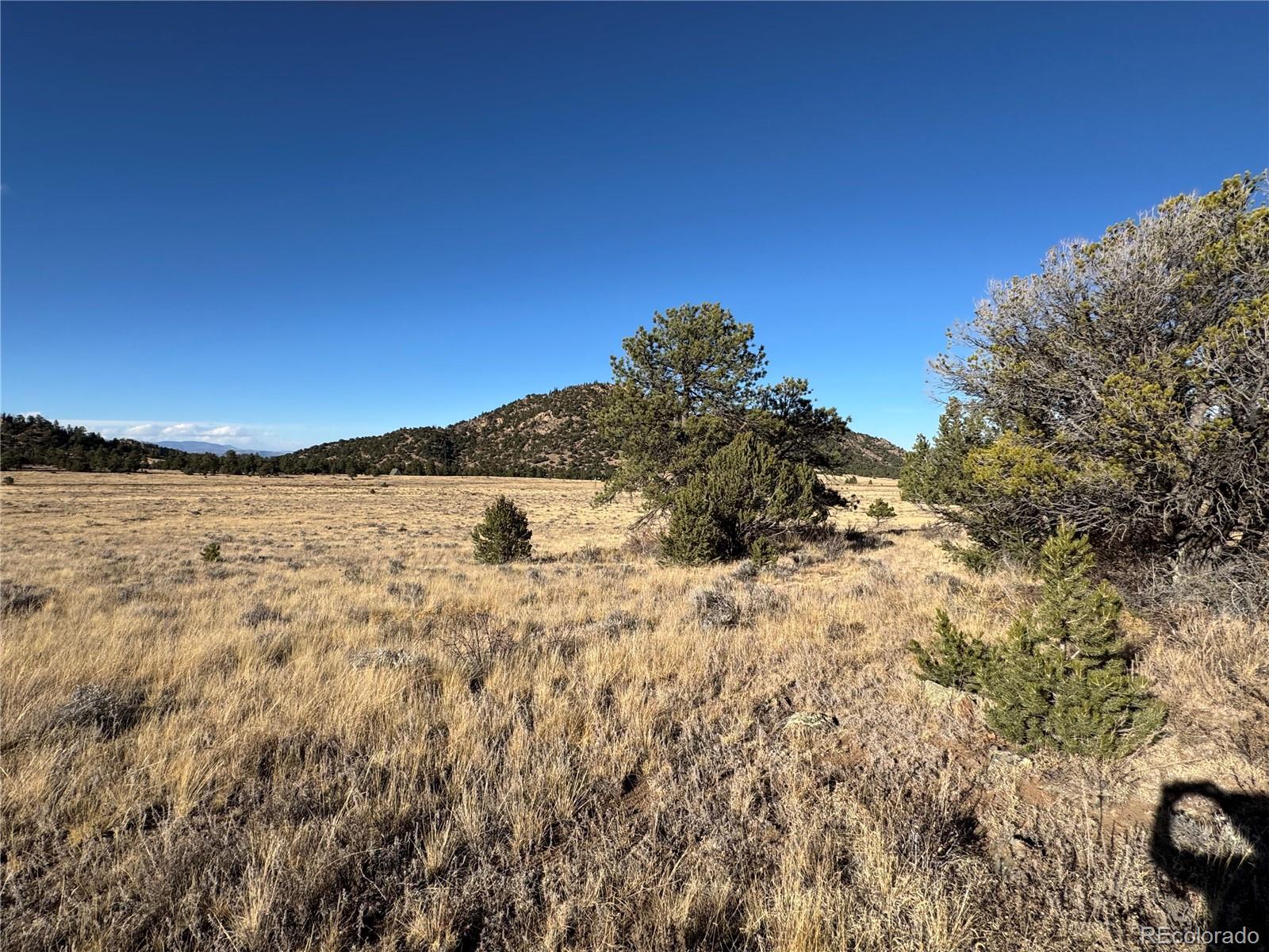 Lot 35 Stephens Drive Westcliffe CO 81252