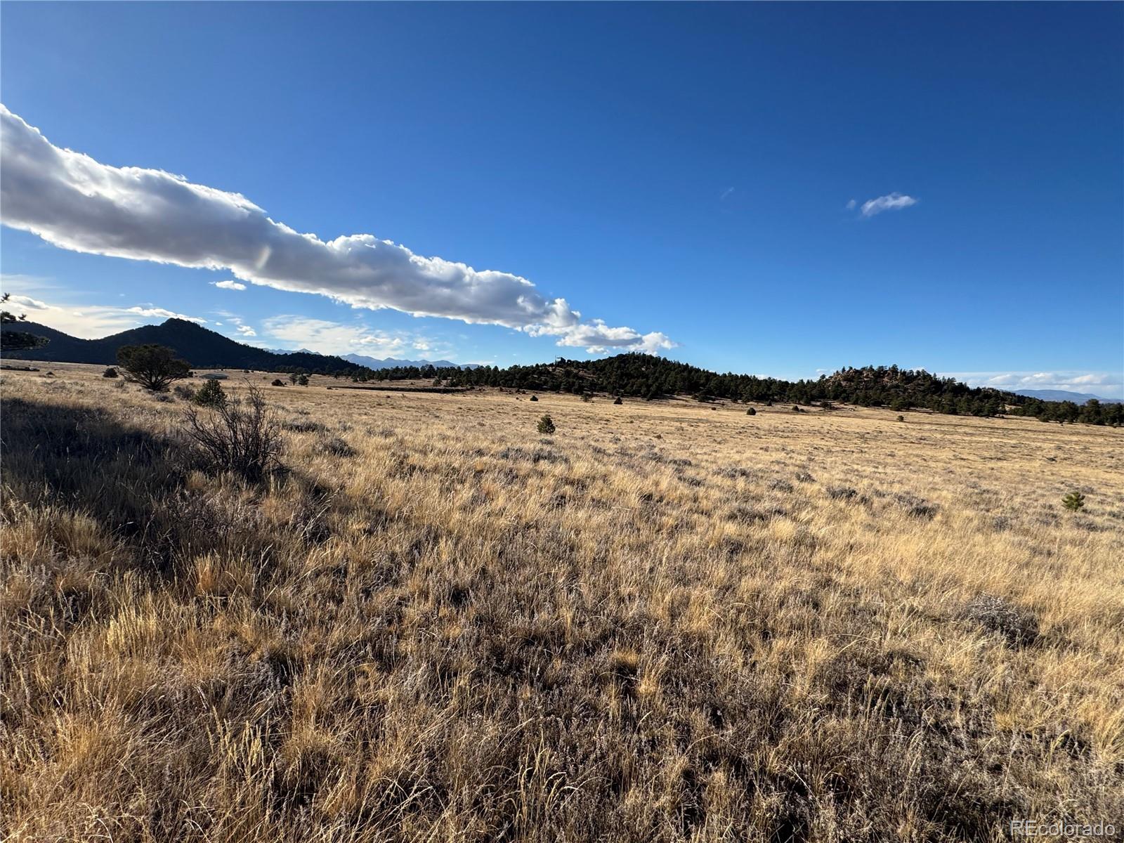 Lot 35 Stephens Drive Westcliffe CO 81252