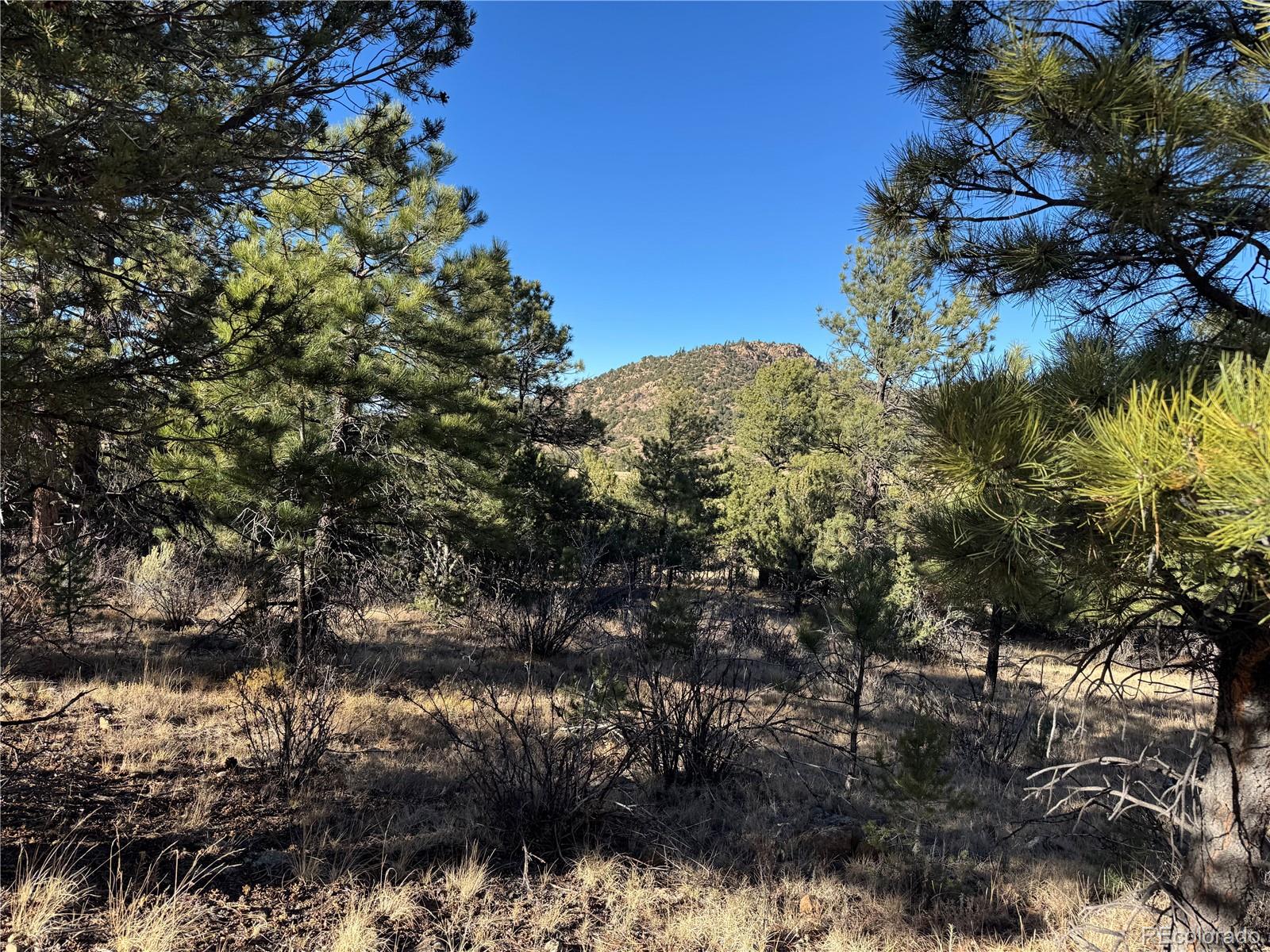 Lot 35 Stephens Drive Westcliffe CO 81252