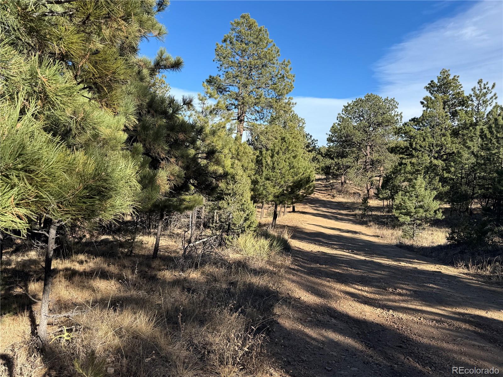 Lot 35 Stephens Drive Westcliffe CO 81252