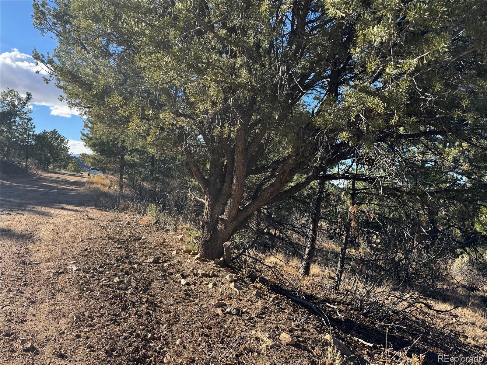 Lot 35 Stephens Drive Westcliffe CO 81252