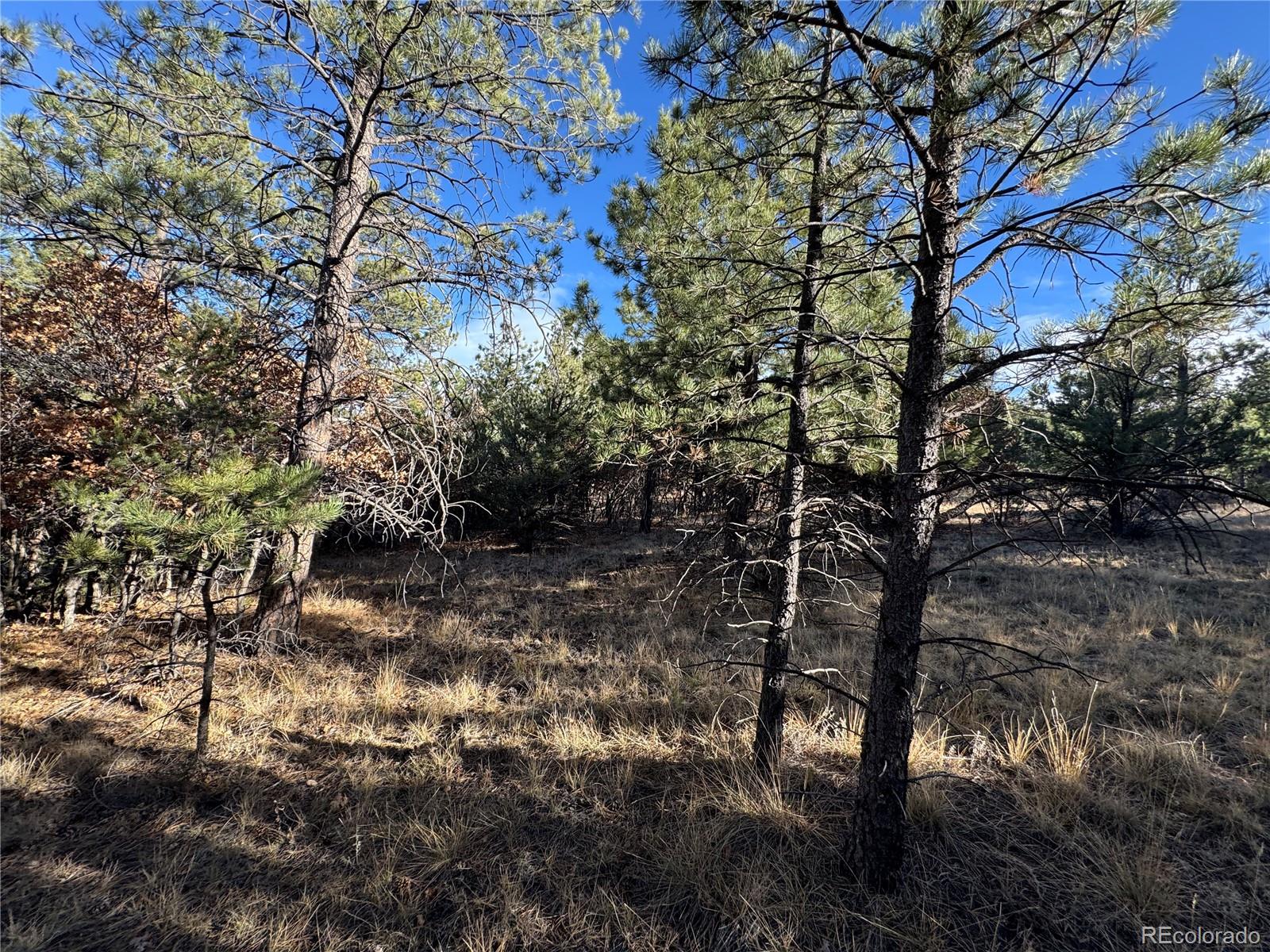 Lot 35 Stephens Drive Westcliffe CO 81252