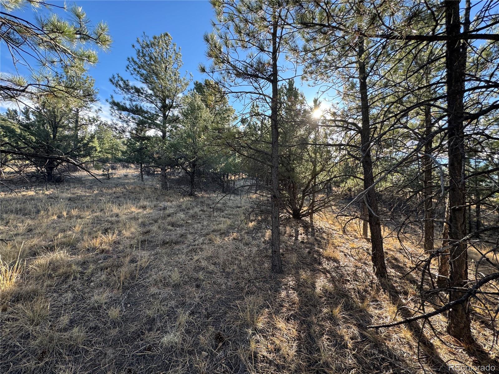 Lot 35 Stephens Drive Westcliffe CO 81252