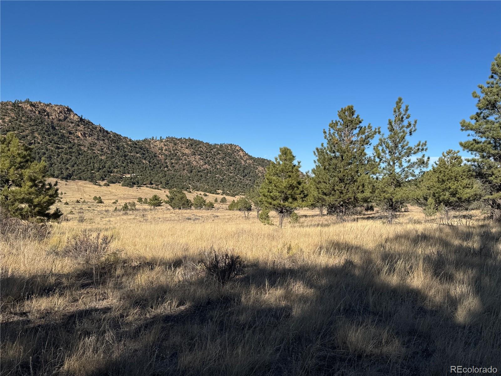 Lot 35 Stephens Drive Westcliffe CO 81252