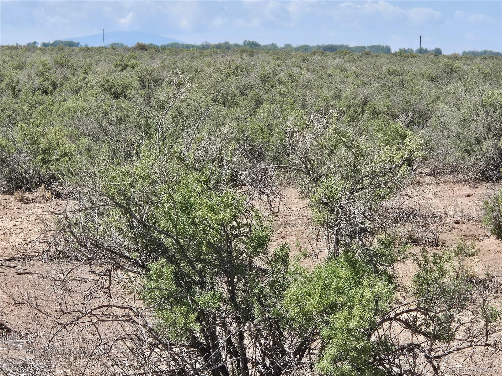 40 Acres Tbd Mosca CO 81146