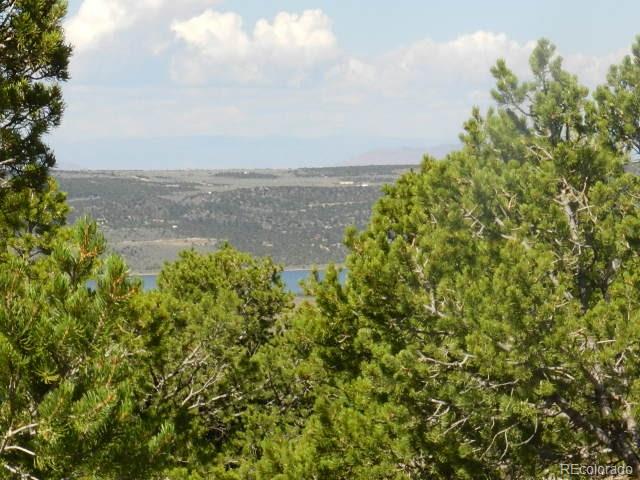 Lots 8-9 Mountain Ridge Lane San Luis CO 81152