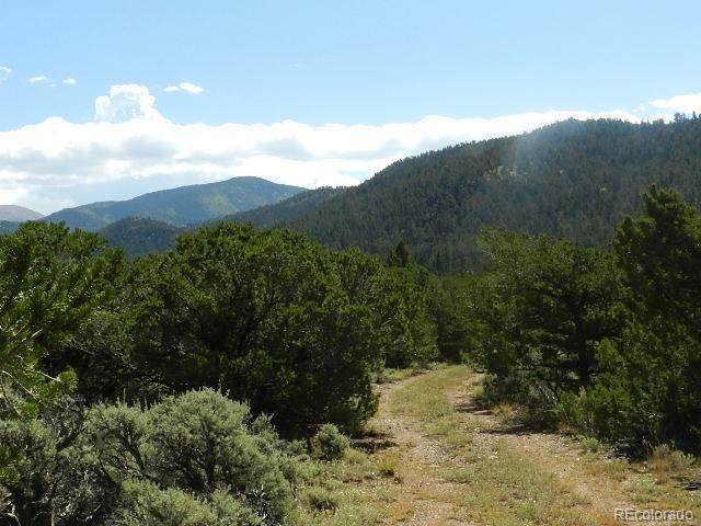 Lots 8-9 Mountain Ridge Lane San Luis CO 81152