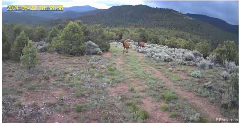 Lots 8-9 Mountain Ridge Lane San Luis CO 81152
