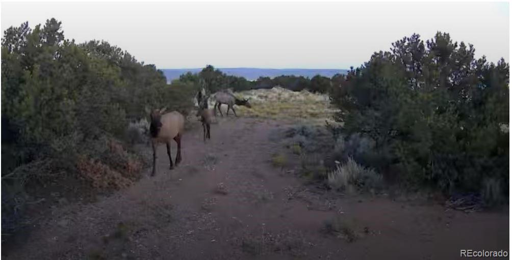 Lots 8-9 Mountain Ridge Lane San Luis CO 81152