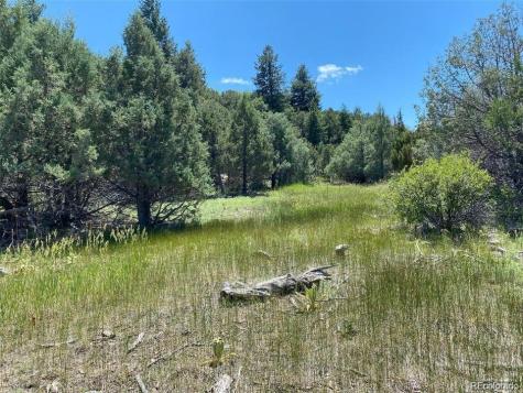 779 County Road 48 Howard CO 81233