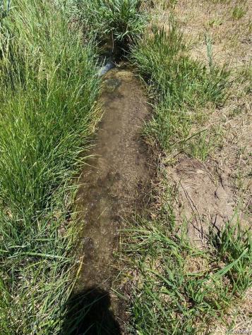 779 County Road 48 Howard CO 81233