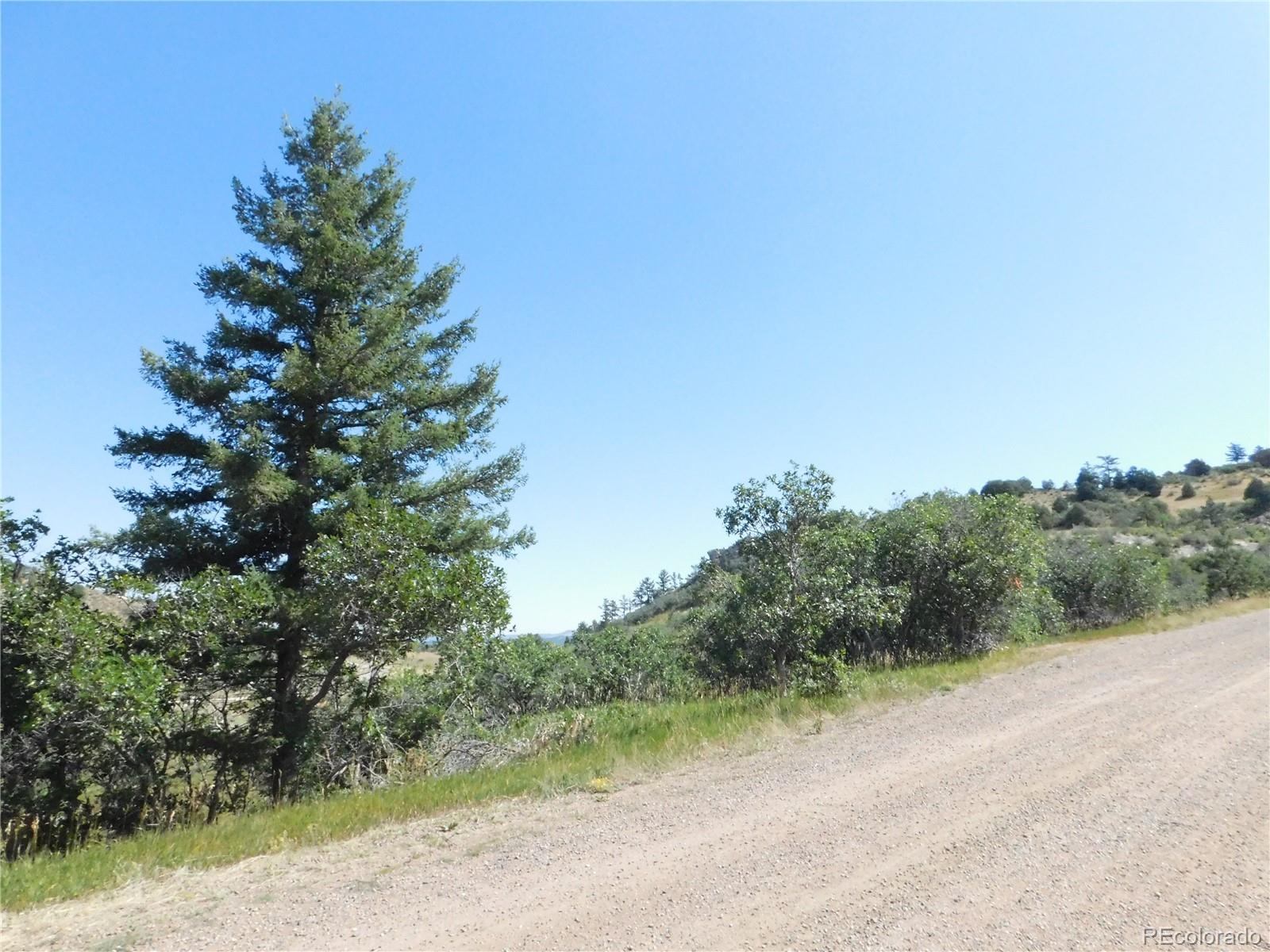5905 Country Club Drive Larkspur CO 80118