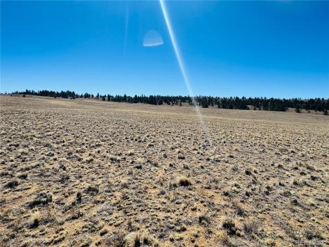 3067 Fitzsimmons Road Hartsel CO 80449