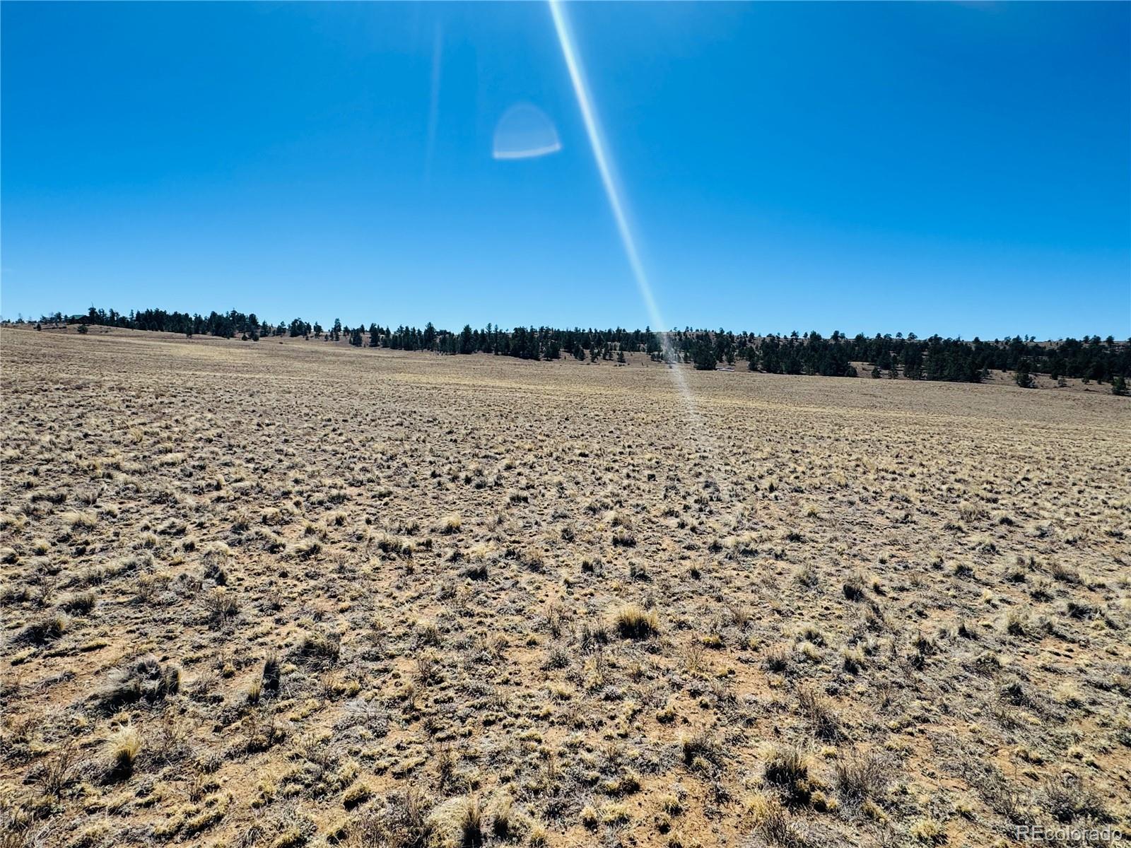 3067 Fitzsimmons Road Hartsel CO 80449