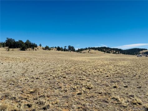 3067 Fitzsimmons Road Hartsel CO 80449