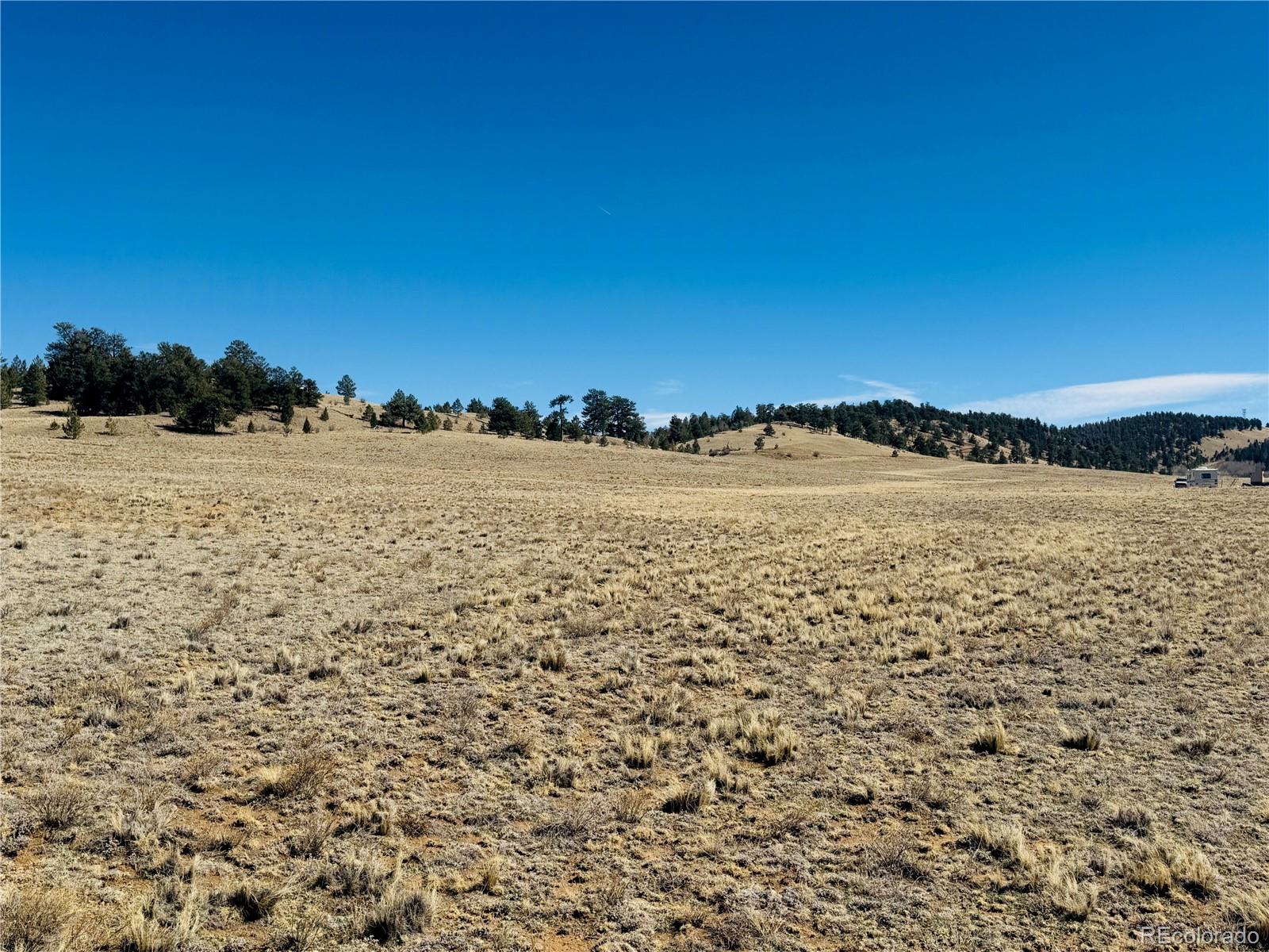 3067 Fitzsimmons Road Hartsel CO 80449