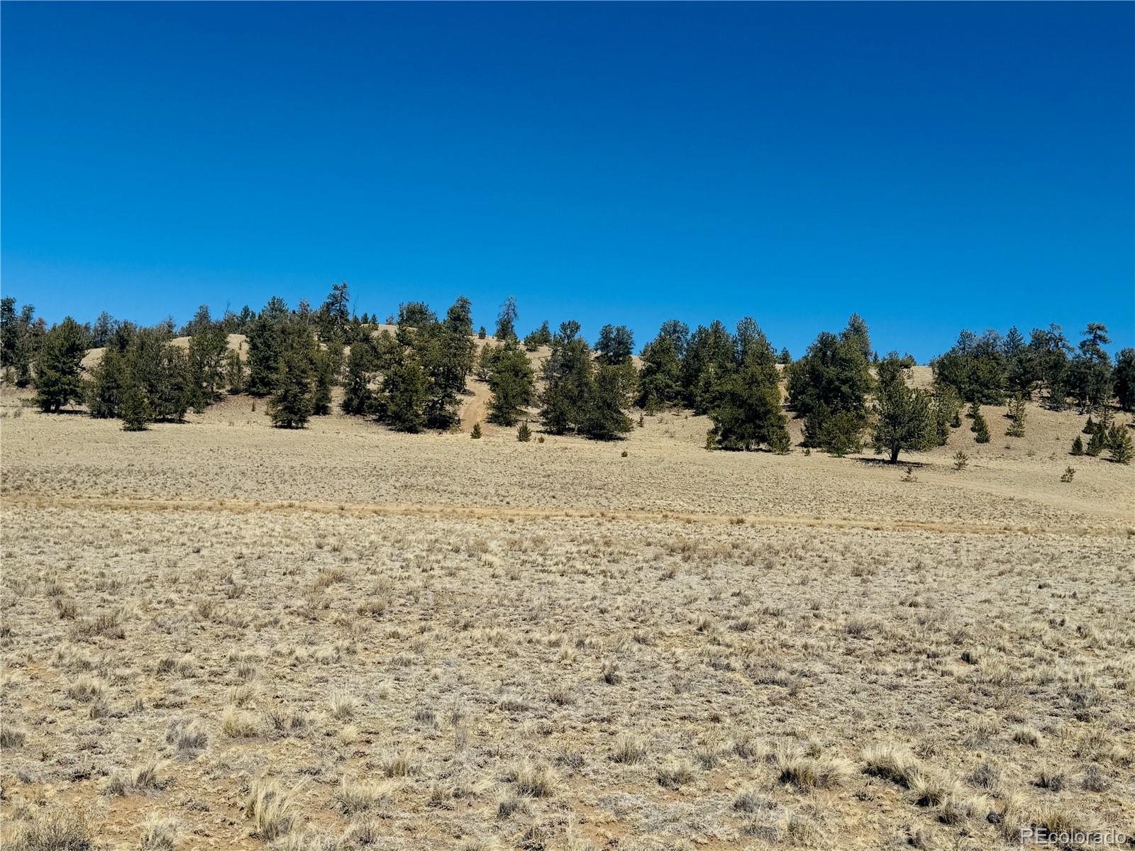 3067 Fitzsimmons Road Hartsel CO 80449