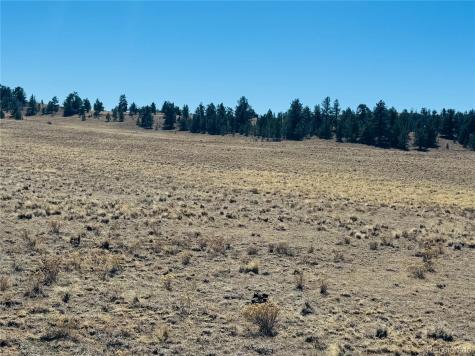 3067 Fitzsimmons Road Hartsel CO 80449