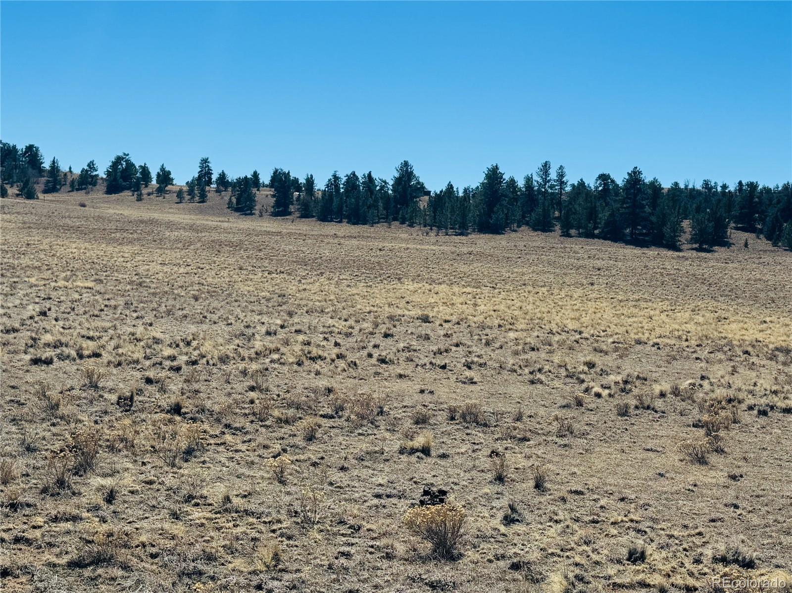 3067 Fitzsimmons Road Hartsel CO 80449
