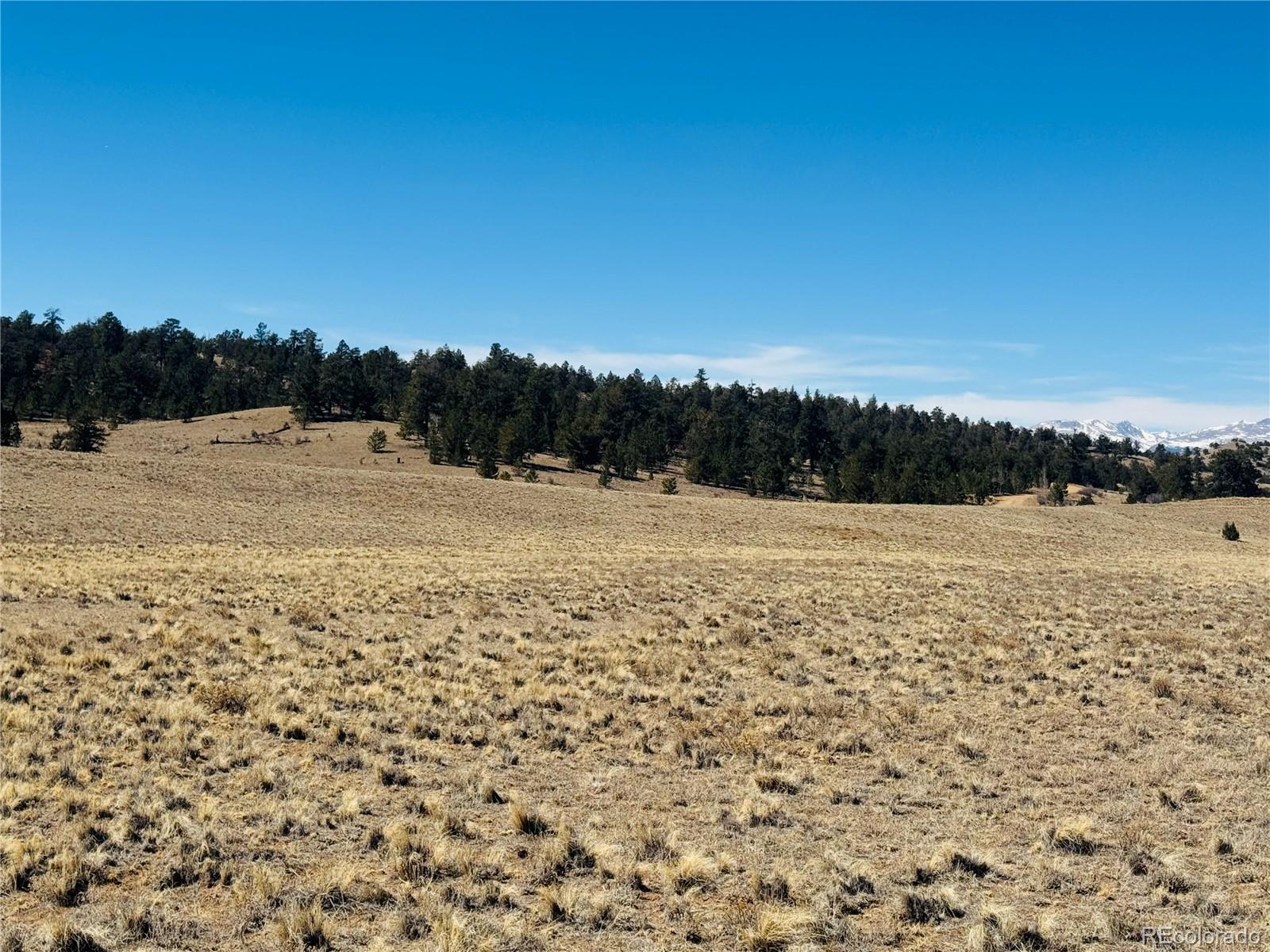 3067 Fitzsimmons Road Hartsel CO 80449