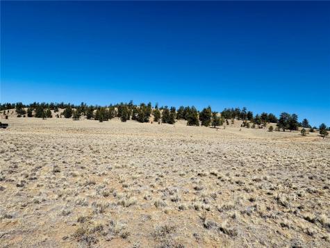 3067 Fitzsimmons Road Hartsel CO 80449