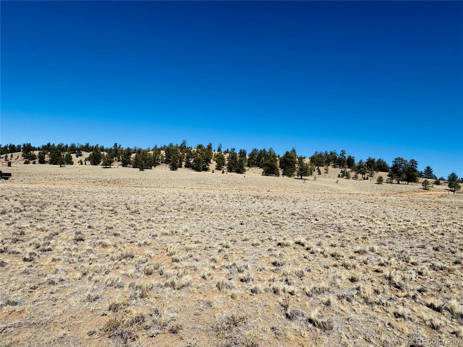 3067 Fitzsimmons Road Hartsel CO 80449
