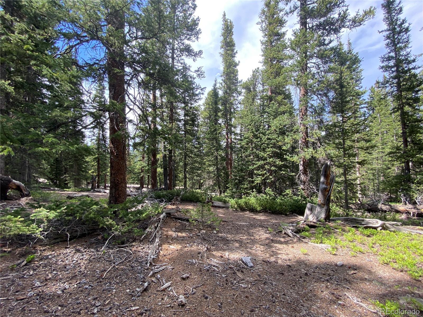 2216 Valley Of The Sun Drive Fairplay CO 80440