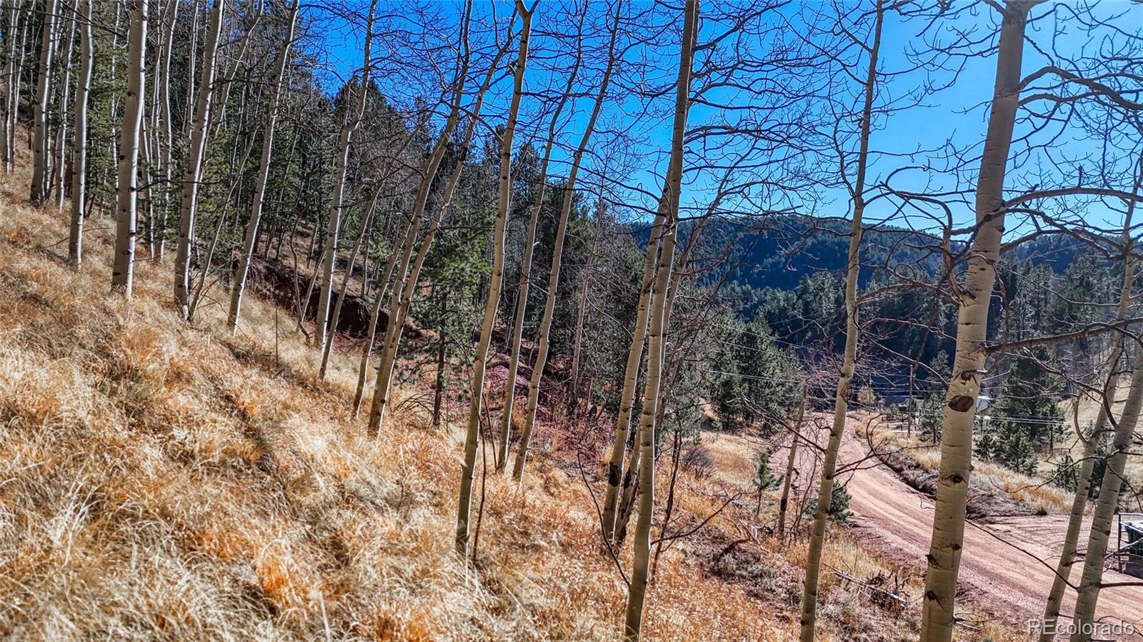 80 Beaver Pond Road Divide CO 80814