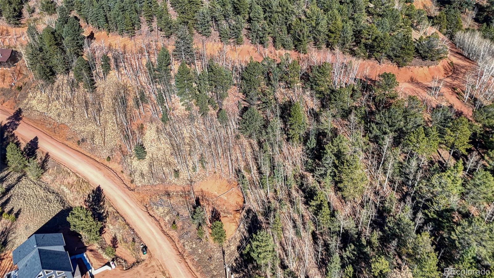 80 Beaver Pond Road Divide CO 80814