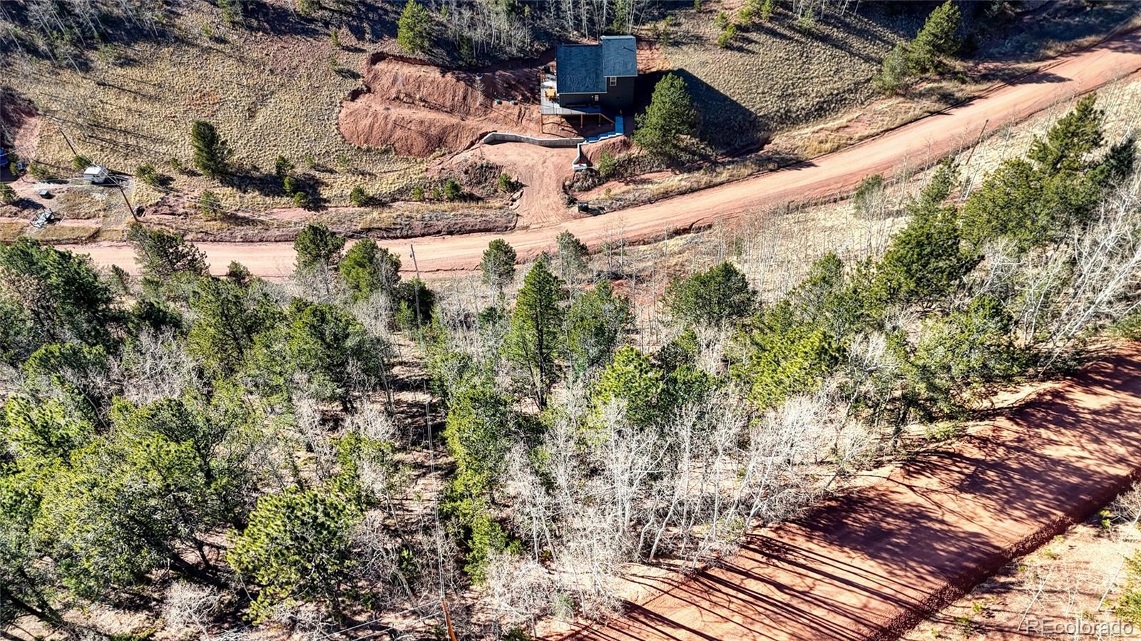 80 Beaver Pond Road Divide CO 80814