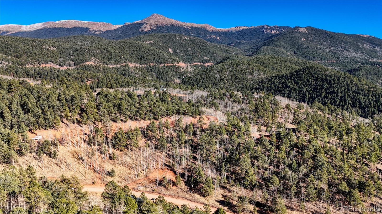 80 Beaver Pond Road Divide CO 80814